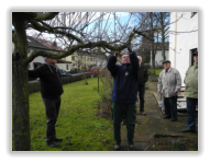 Arbeiten mit der Astsäge